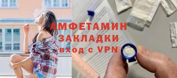 хмурый Алексин