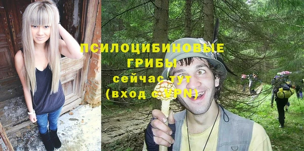 шишки Абинск