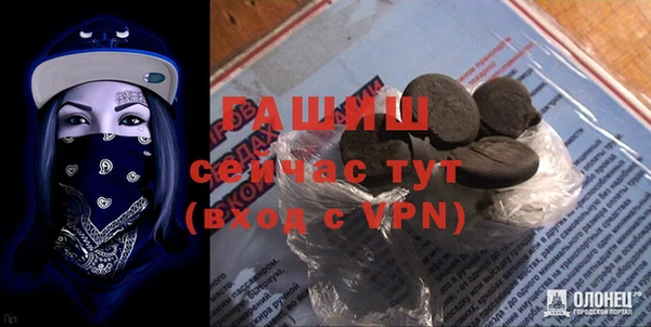 хмурый Алексин