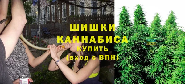 шишки Абинск