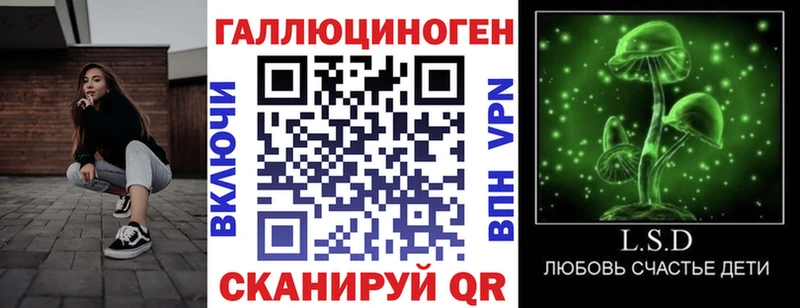 где найти   Тында  Псилоцибиновые грибы мицелий 